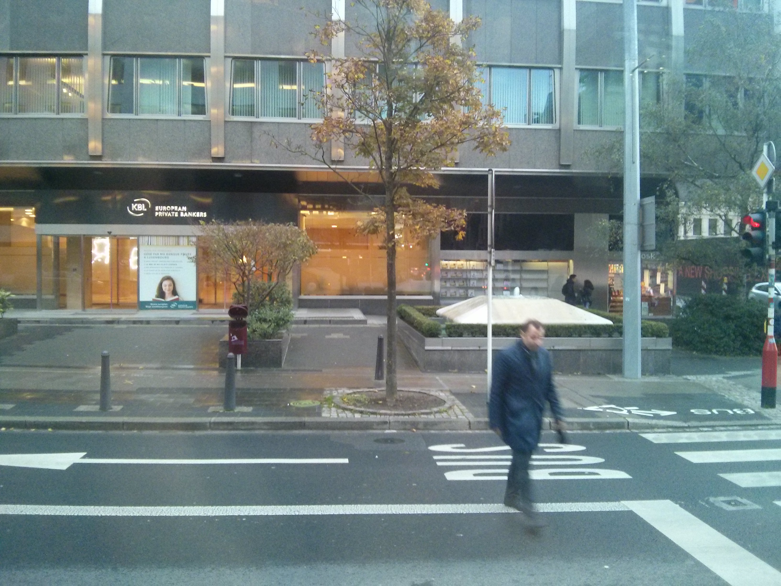 Egyesített Luxemburg-antropológia elméletem