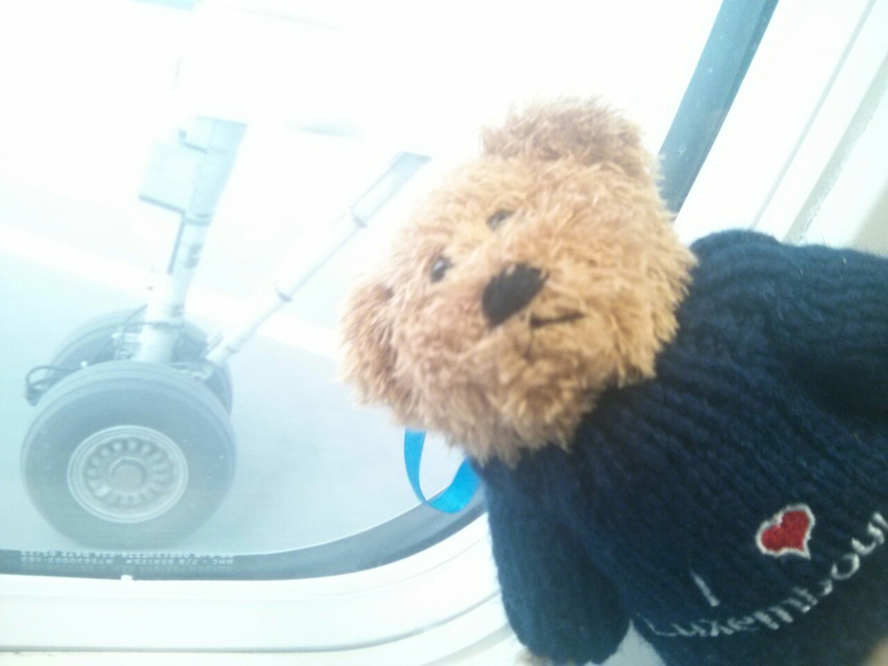 Értetlen ajándék állat